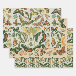Feuille De Papier Cadeau Papillons Vintages papillons d'antiquités Art