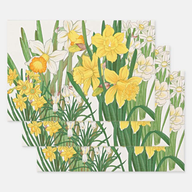 Feuille De Papier Cadeau Peinture sur bois de narcisse (Lot)