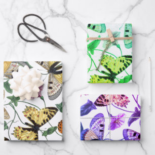 Feuille De Papier Cadeau Peinture vintage de papillon et de papillon