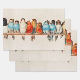 Feuille De Papier Cadeau Perche d'oiseaux, Art d'oiseaux, Oiseaux, Découpag