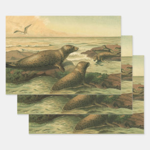 Feuille De Papier Cadeau Phoques léopards, Animaux Aquatiques Vintage Vie M