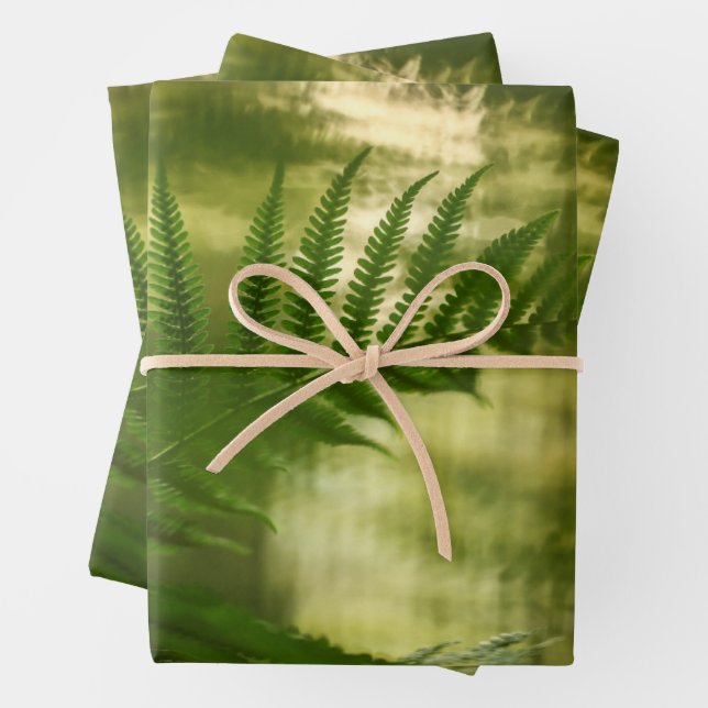 Feuille De Papier Cadeau Photo de Fern Nature (En situation)