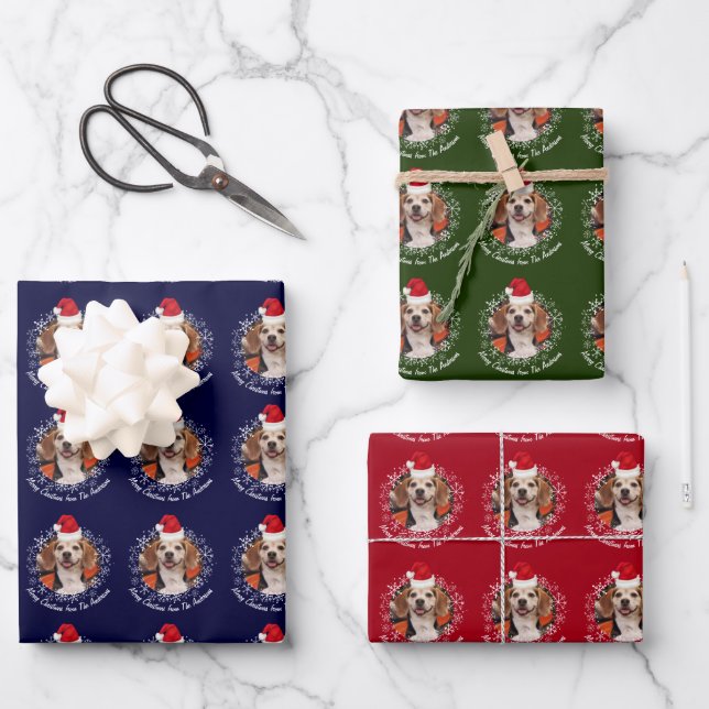 Feuille De Papier Cadeau Photo pour animaux de compagnie Santa Hat & Snowfl (Recto)