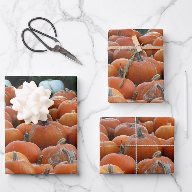 Feuille De Papier Cadeau Photographie de récolte d'automne des citrouilles  (Recto)