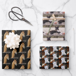 Feuille De Papier Cadeau Photos d'animaux de compagnie pour amoureux des bê