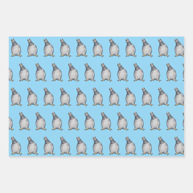 Feuille De Papier Cadeau Pigeons mignons (Devant)