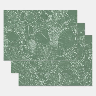 Feuille De Papier Cadeau Plage de coquillages de mer côtière Vert découpage