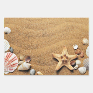 Feuille De Papier Cadeau Plage Holiday Seashells