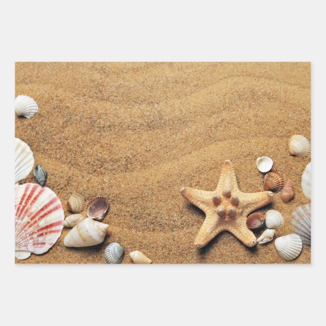 Feuille De Papier Cadeau Plage Holiday Seashells (Devant)