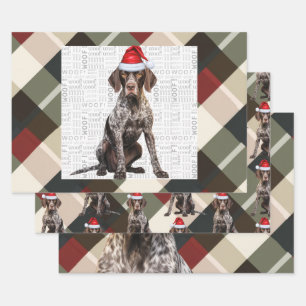 Feuille De Papier Cadeau Plaid de Noël pour chien Pointer allemand à poil c