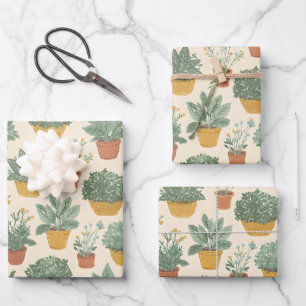 Feuille De Papier Cadeau Plantes en Pot Fleurs Style d'Illustration Botaniq