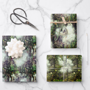 Feuille De Papier Cadeau Pods, graines et soie de Milkweed   Recoleta  