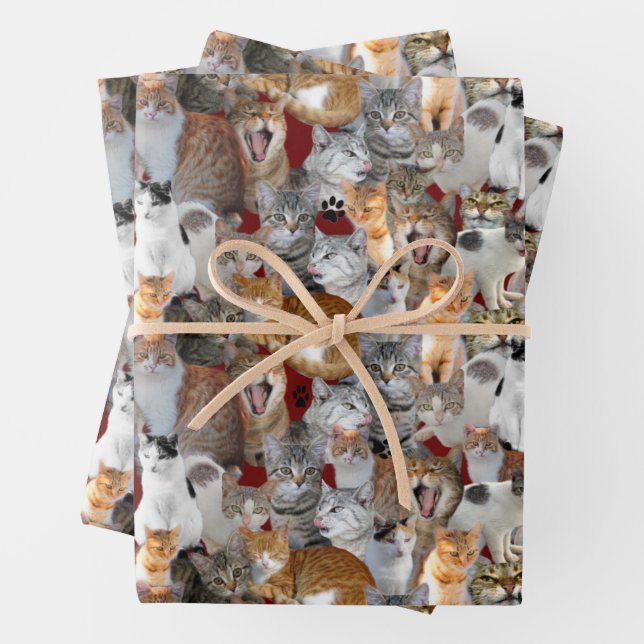 Feuille De Papier Cadeau Point de rencontre des chats - collage (En situation)