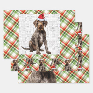 Feuille De Papier Cadeau Pointer à poil dur Noël Chien Carreaux Rouges Vert