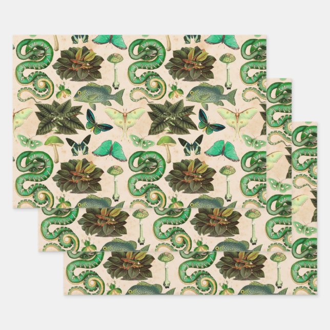 Feuille De Papier Cadeau Poisson et papillon de serpents verts (Lot)