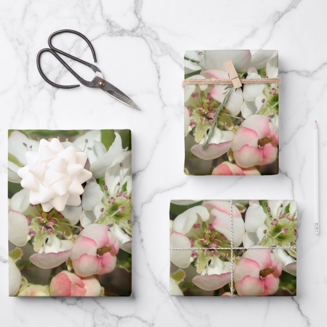 Feuille De Papier Cadeau Pomme bourre fleur (Recto)