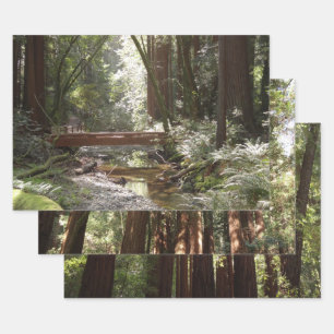 Feuille De Papier Cadeau Pont Muir Woods II
