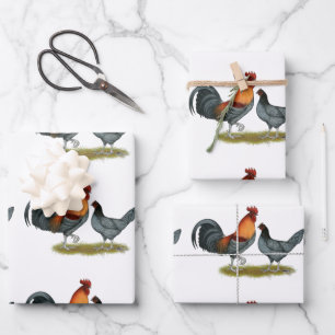 Feuille De Papier Cadeau Poule bleue du Delaware