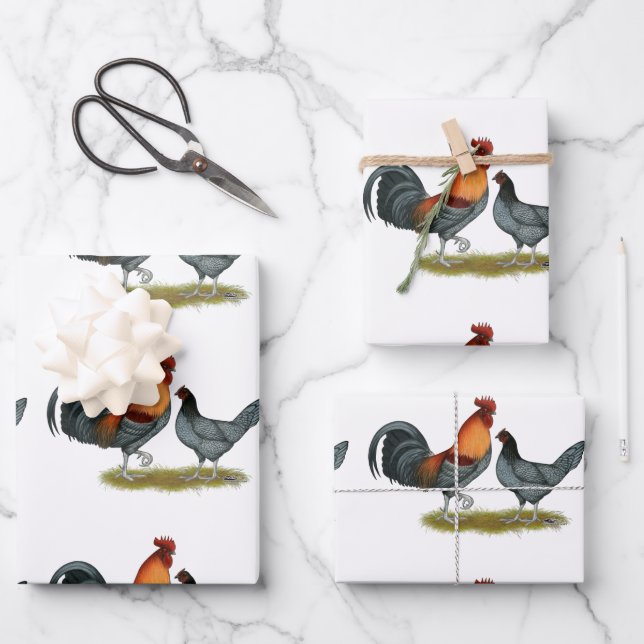 Feuille De Papier Cadeau Poule bleue du Delaware (Recto)