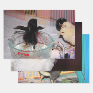 Feuille De Papier Cadeau Poulets pour bébés