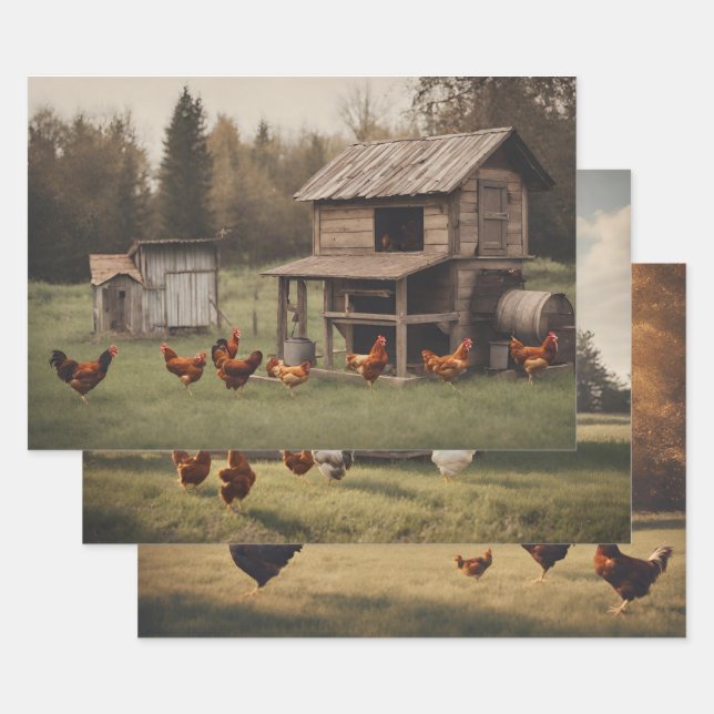 Feuille De Papier Cadeau Poulets rustiques (Lot)
