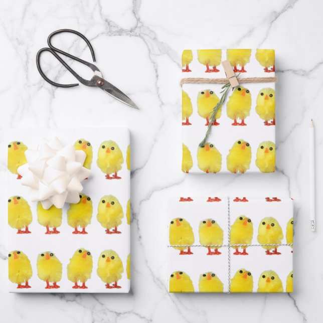 Feuille De Papier Cadeau Poussins de Pâques (Recto)