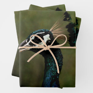 Feuille De Papier Cadeau Profil de Peacock