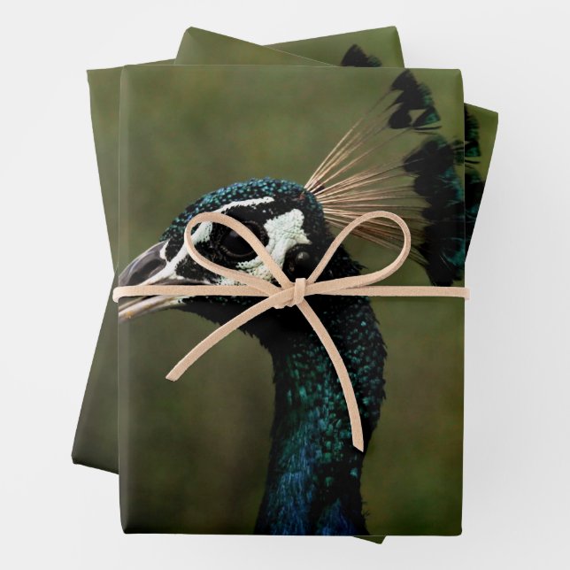 Feuille De Papier Cadeau Profil de Peacock (En situation)
