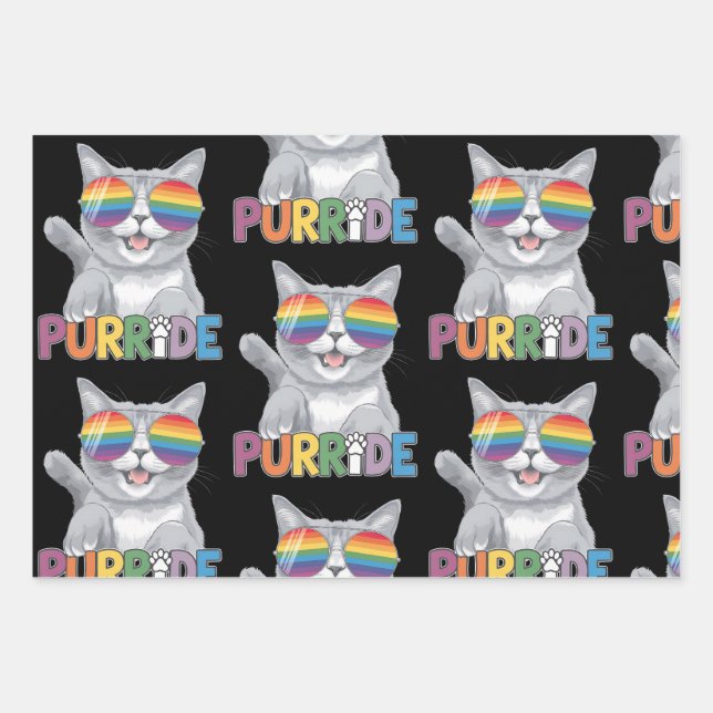 Feuille De Papier Cadeau Purride Chat Lunettes de soleil Gay pride Rainbow  (Devant)