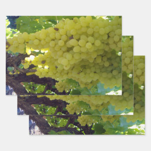 Feuille De Papier Cadeau Raisins De Sultana Sur Une Vigne De Raisin,