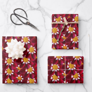Feuille De Papier Cadeau Red Dahlia