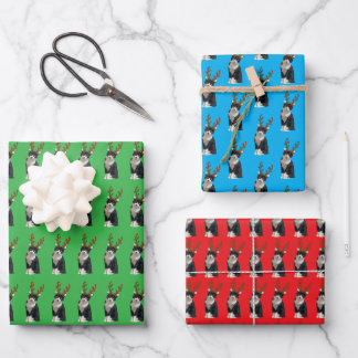 Feuille De Papier Cadeau Renne Calliope