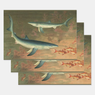 Feuille De Papier Cadeau Requins Bleus Mangeant du Poisson, Vie Marine Vint