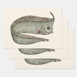 Feuille De Papier Cadeau Rétaire à crête, Vie marine aquatique vintage