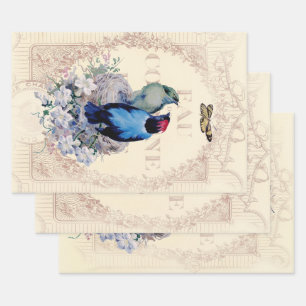 Feuille De Papier Cadeau Romantique Shabby Chic birds et papillon