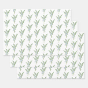 Feuille De Papier Cadeau Romarin