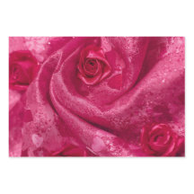 Rose en Satin Rose