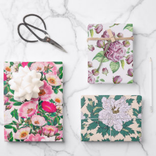 Feuille De Papier Cadeau Rosehip Camellia & Peony Flowers