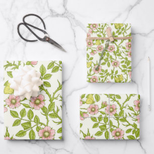 Feuille De Papier Cadeau Roses sauvages et papillons /rose/vert pâle/jaune