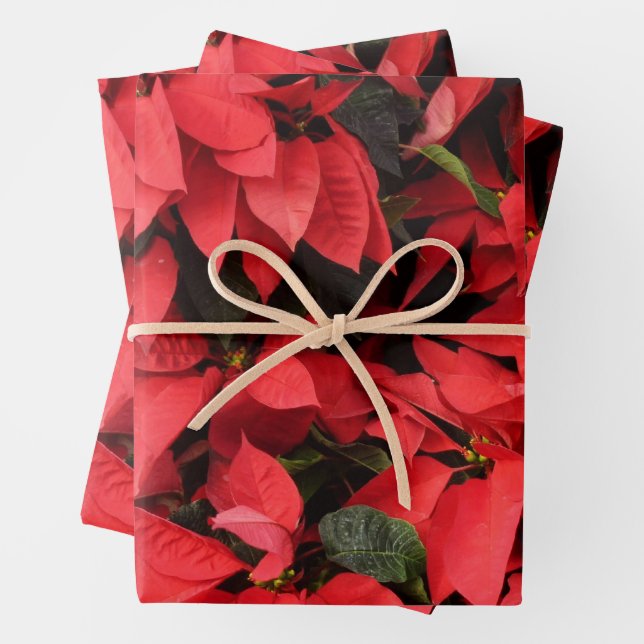 Feuille De Papier Cadeau Rouge Poinsettias II Noël Fête Florale (En situation)