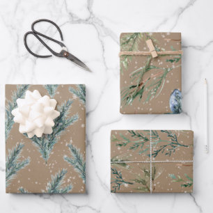 Feuille De Papier Cadeau Rustique Kraft Silver Blue Spruce Winter Greenery