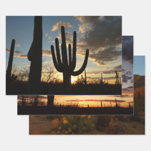 Feuille De Papier Cadeau Saguaro Sunset II Arizona