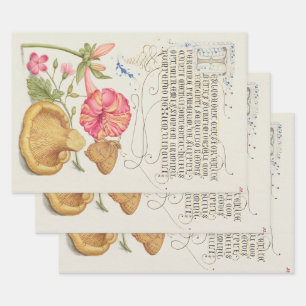 Feuille De Papier Cadeau Scène de jardin avec fleurs, papillon et champigno
