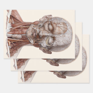 Feuille De Papier Cadeau Science vintage de l'anatomie humaine, nez de gorg