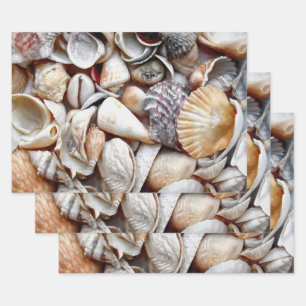 Feuille De Papier Cadeau Sea Shells Ocean Beach Belle Découpage