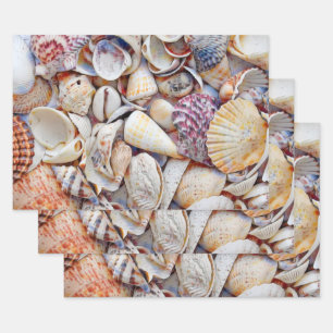Feuille De Papier Cadeau Sea Shells Ocean Beach Watercolor Decoupage