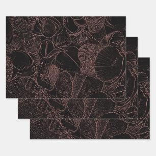 Feuille De Papier Cadeau Sea Shops Black Sepia Sketch Art Beach Ocean