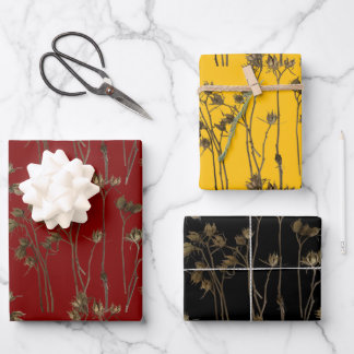 Feuille De Papier Cadeau Seed Pods on a Wrapping Paper Set 