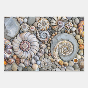 Feuille De Papier Cadeau Shore Shore