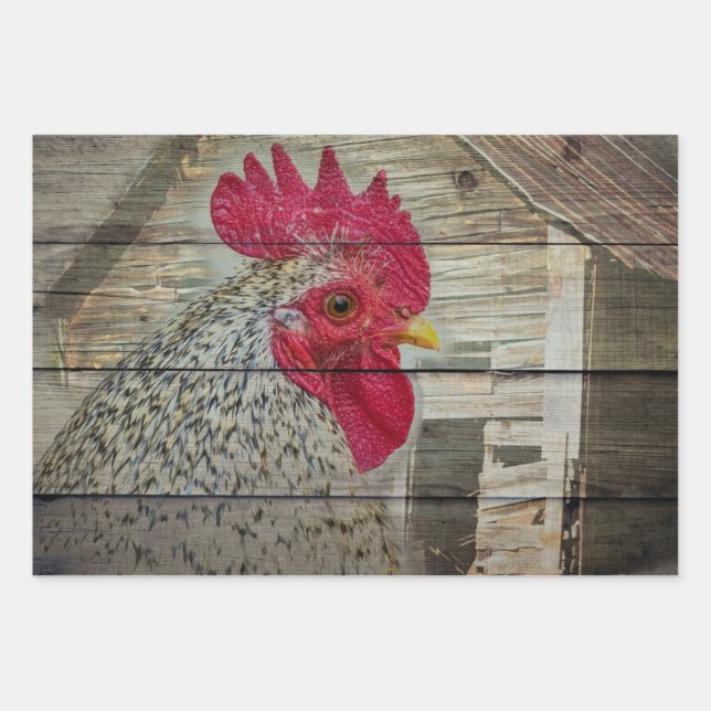 Feuille De Papier Cadeau Tableau de la grange de poulet rustique Rooster (Devant)